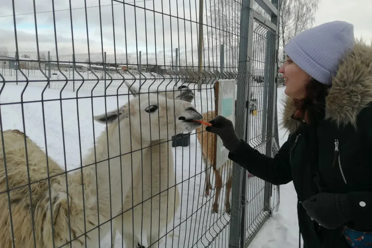 Shikhovo Zoo Farm