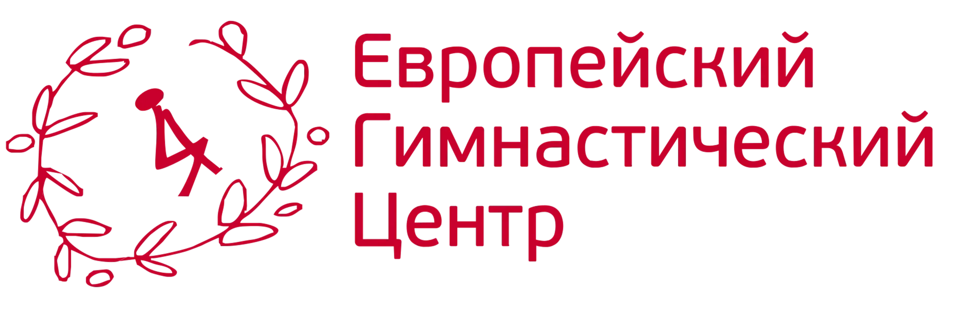 Европейский Гимнастический Центр Лужники